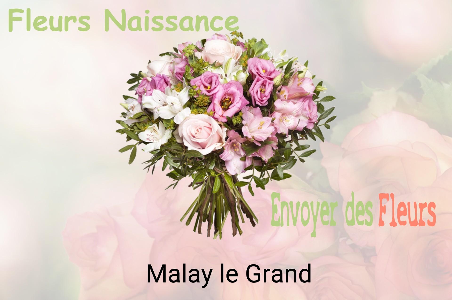 Bouquet de fleurs de naissance livré à Malay-le-Grand