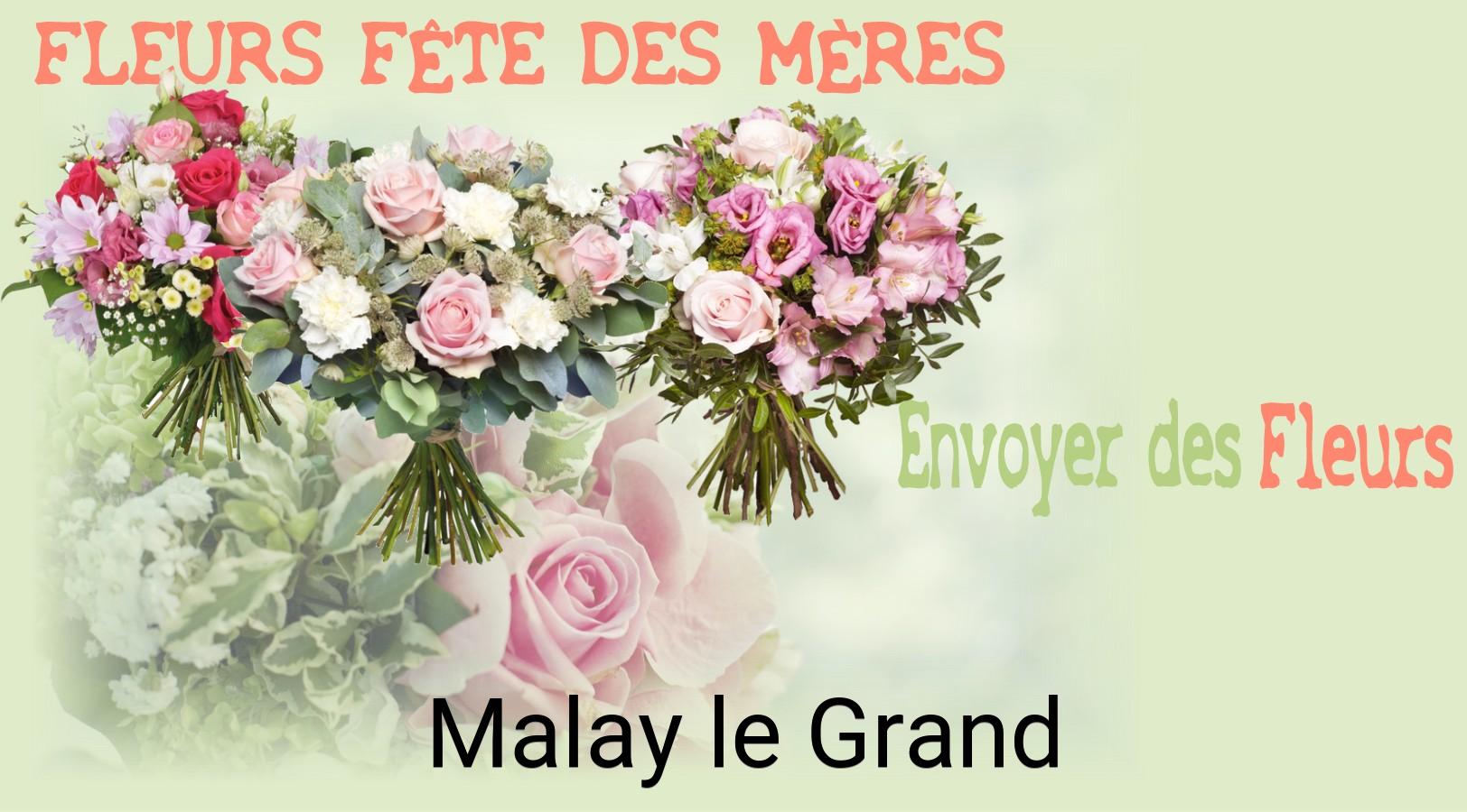 Bouquet de Fête des Mères livré à Malay-le-Grand